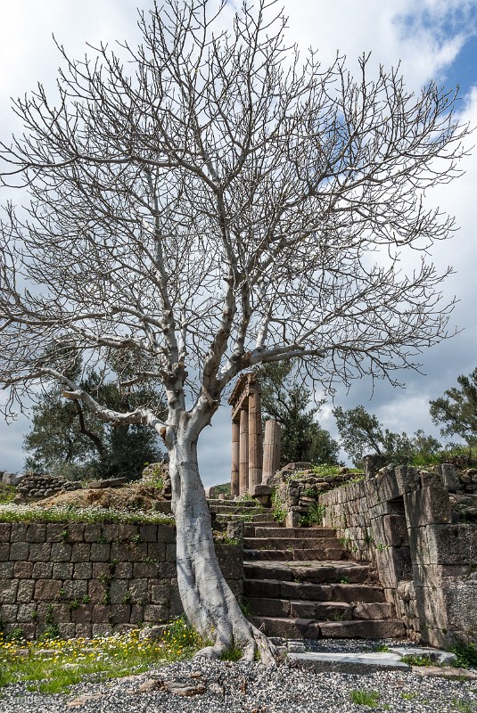 Bergama-104